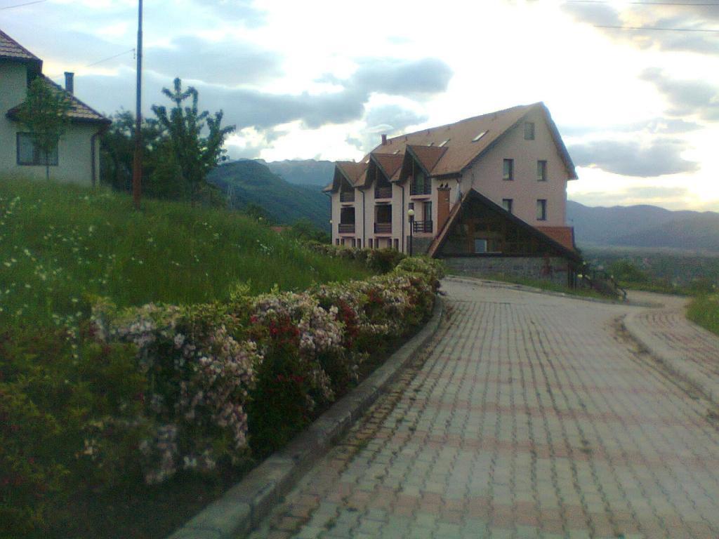Hotel Sofia Bran  Rum bild